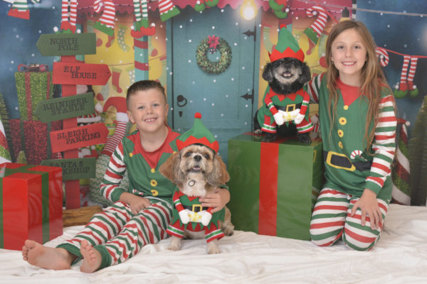 Christmas Mini Sessions - Image 4