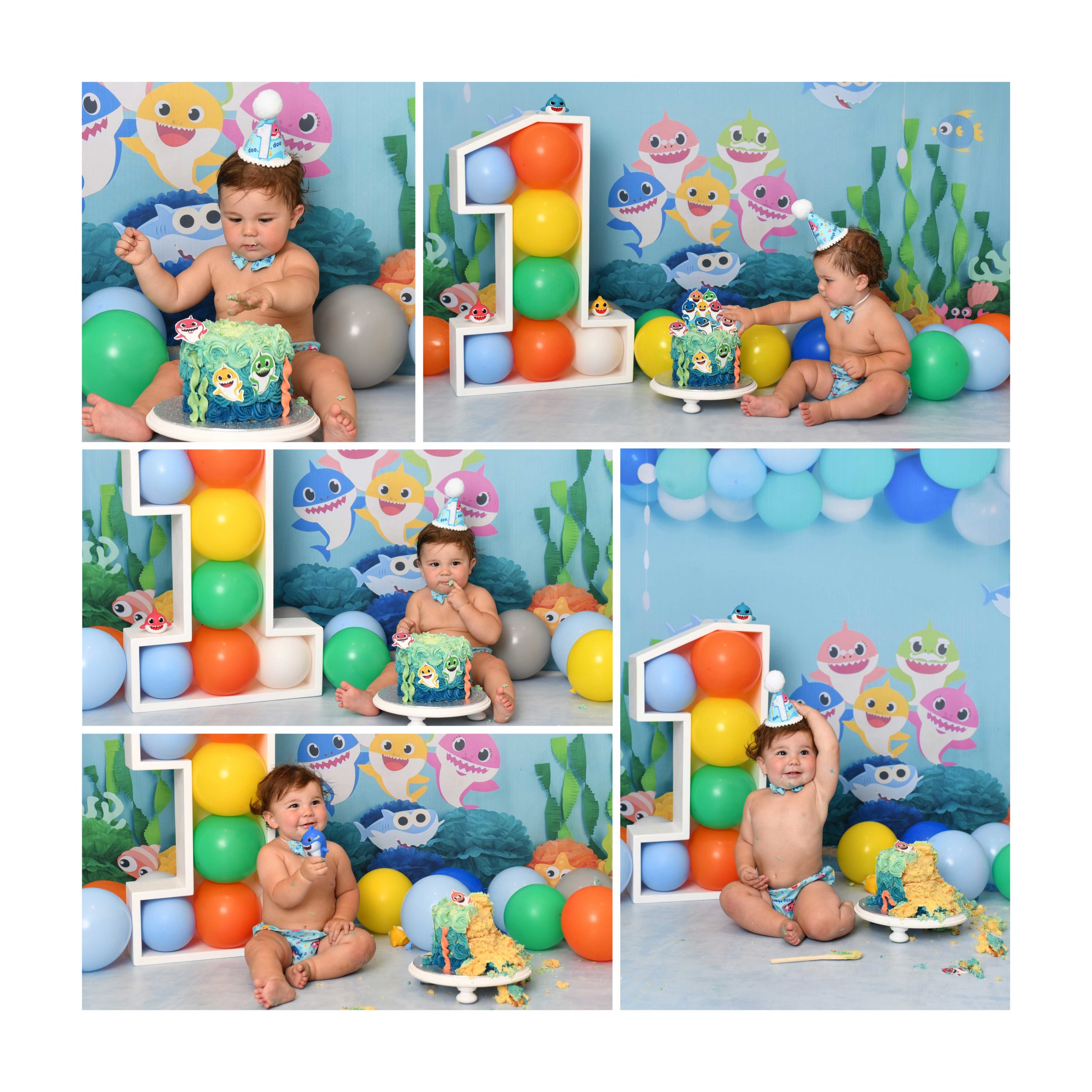 BABYSHARKNEW