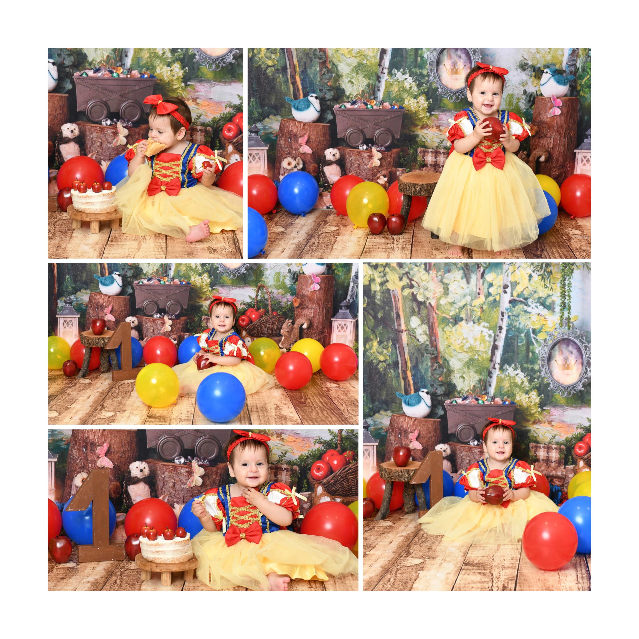 ENCHANTEDWOODLAND