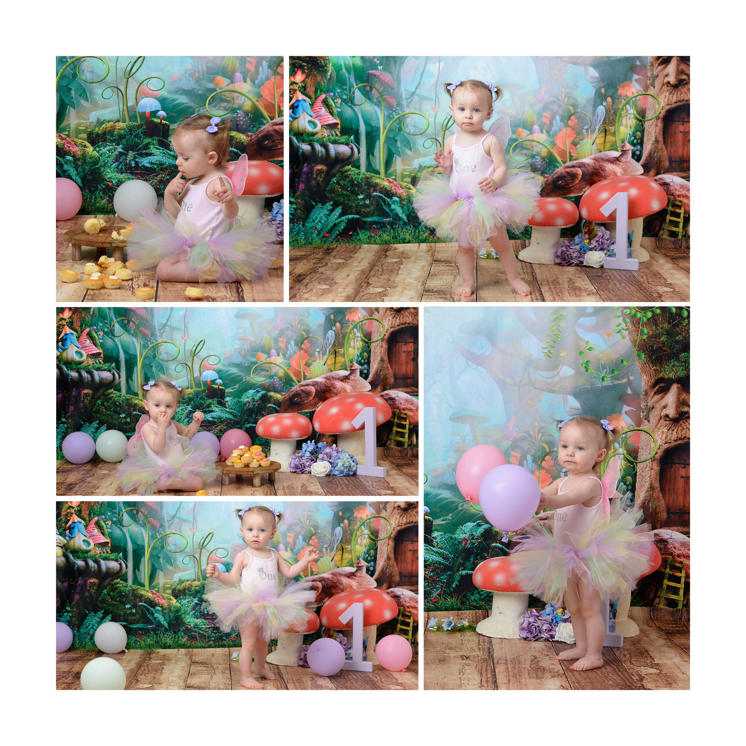 FAIRY