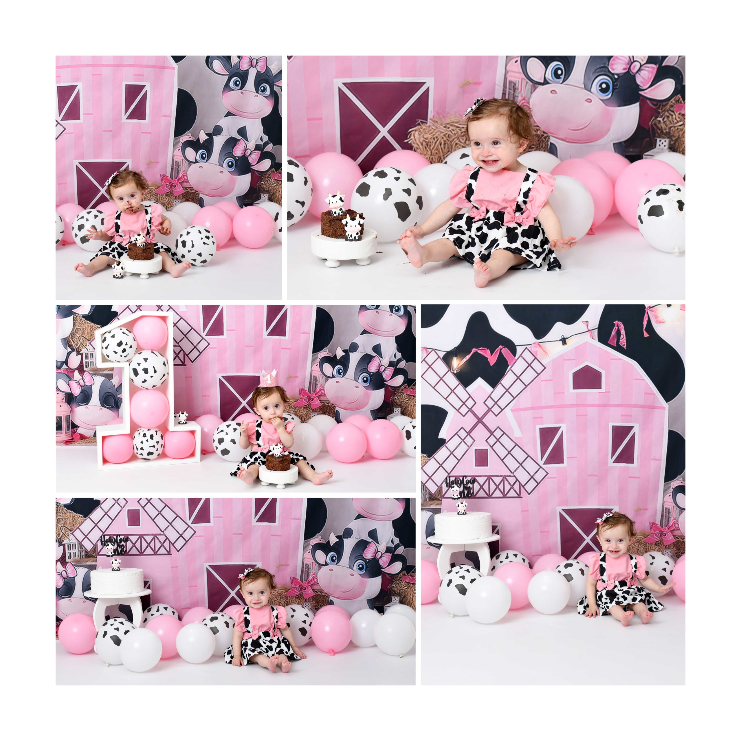 MINIMOO